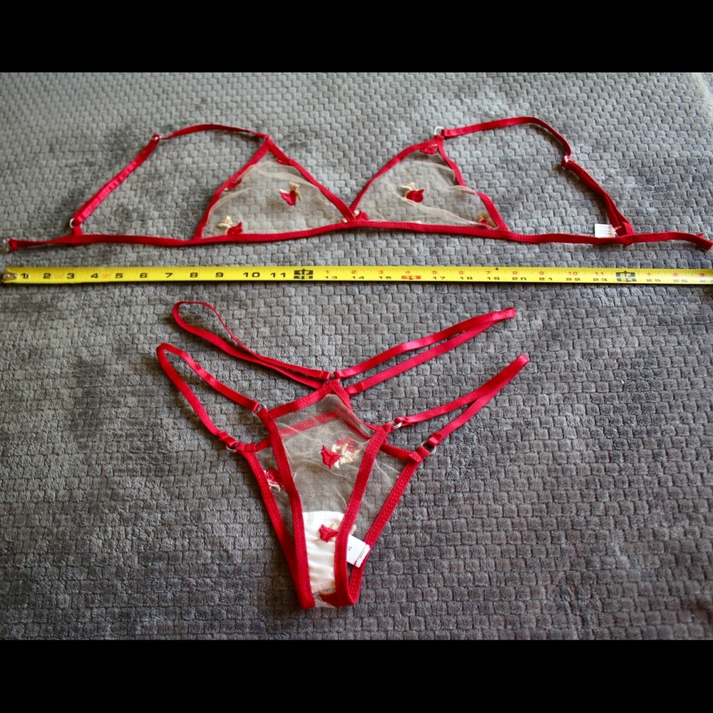 NWT Embroidered Roses Sheer Mesh Bra and Panty Set